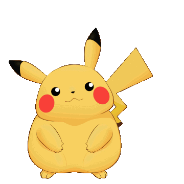 Chonkychu